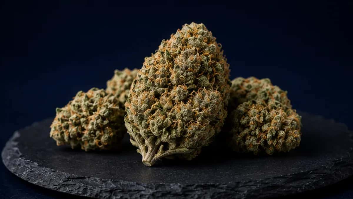 Shop Flowers cannabis products at Dank Cannabis