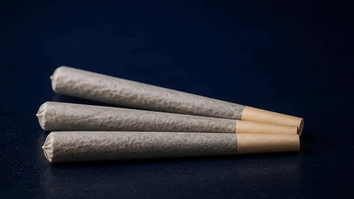 Shop Pre-Rolls cannabis products at Dank Cannabis